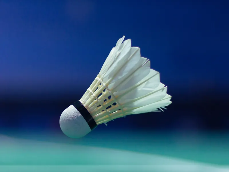 Badmintonskolan