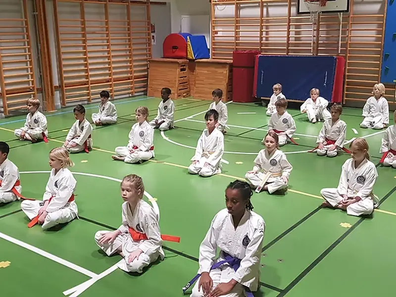 Kusano Ha Shitoryu