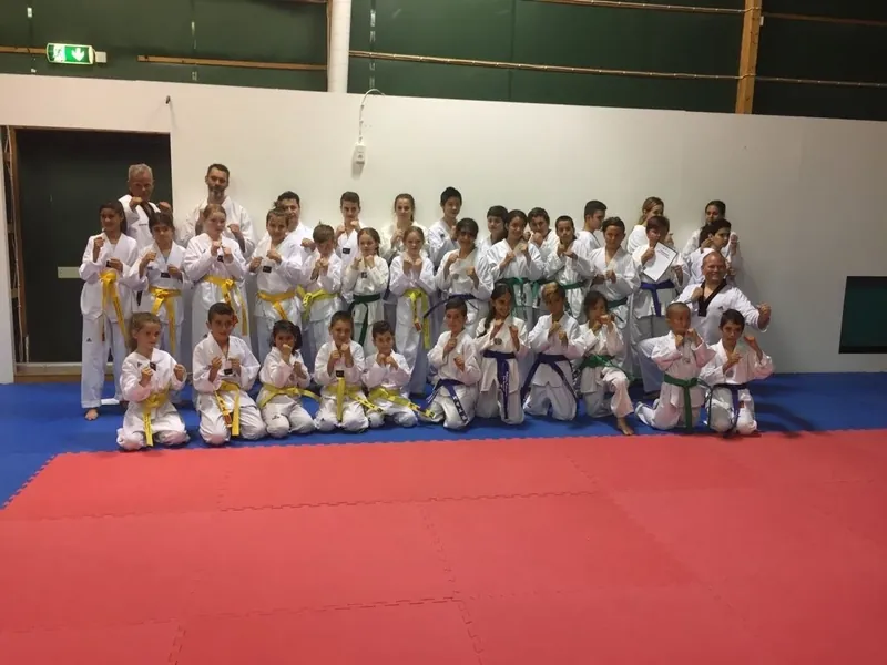 Botkyrka Taekwondo Etik Akademin
