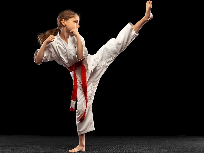 Botkyrka Taekwondo Etik Akademin